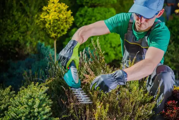 landscaping services South Fallsburg